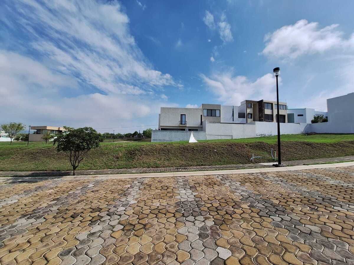 1 de 7
