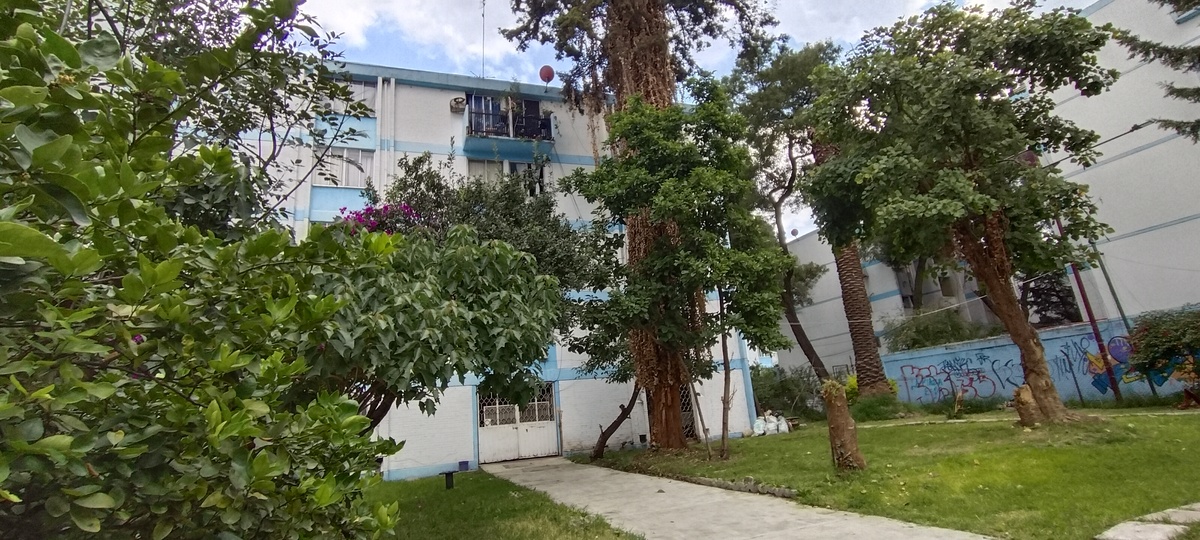 1 de 27: Jardín del edificio