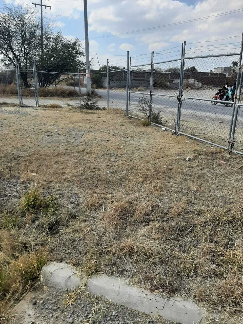 17 de 43