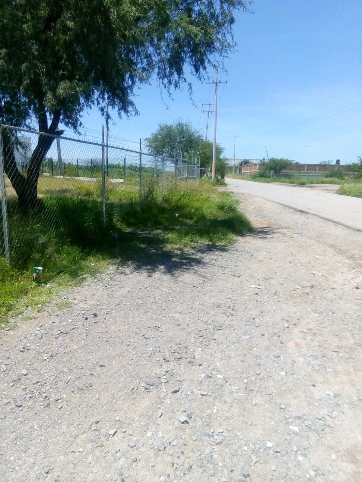 29 de 43