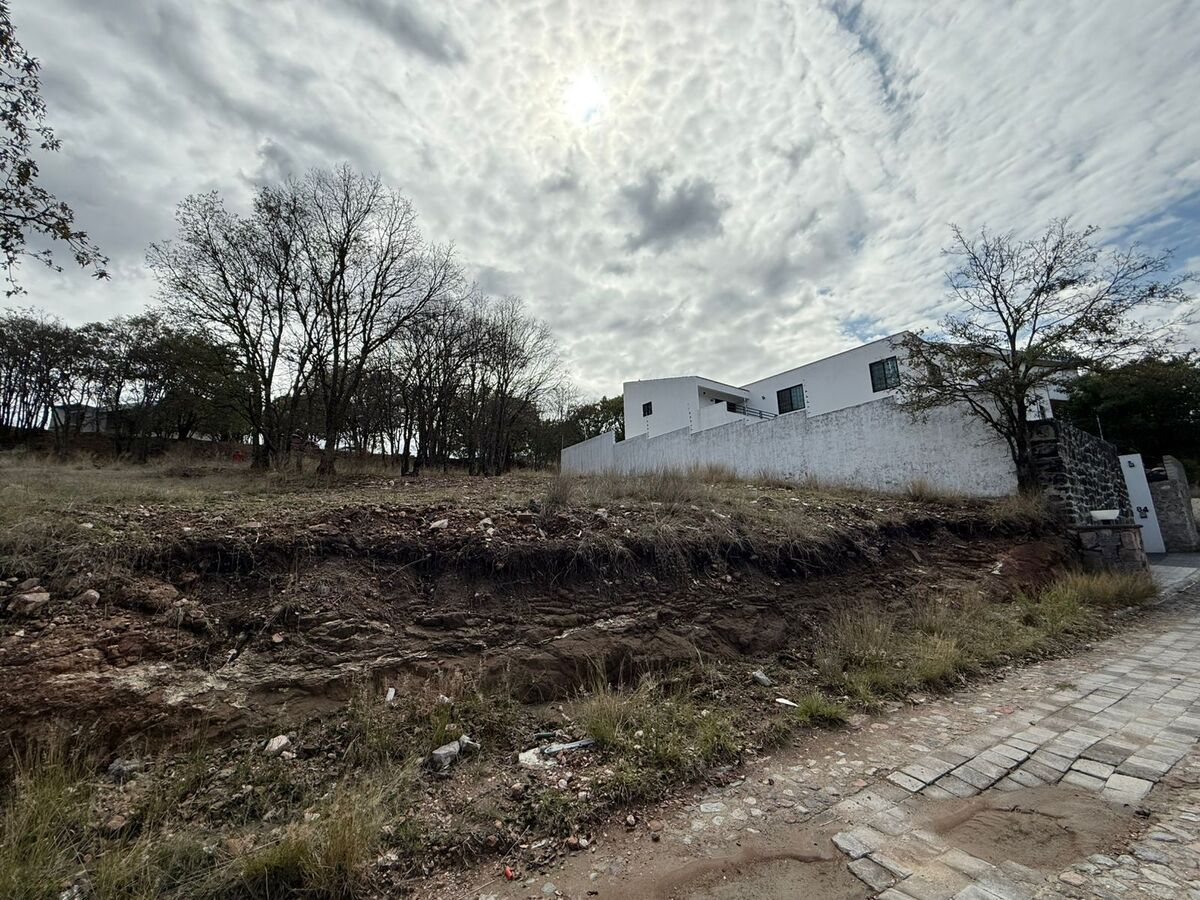 Imagen 3 de 6
