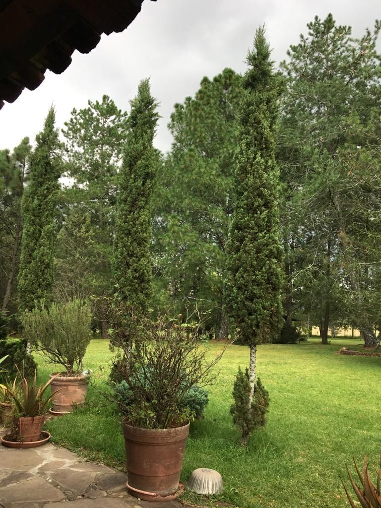 35 de 36