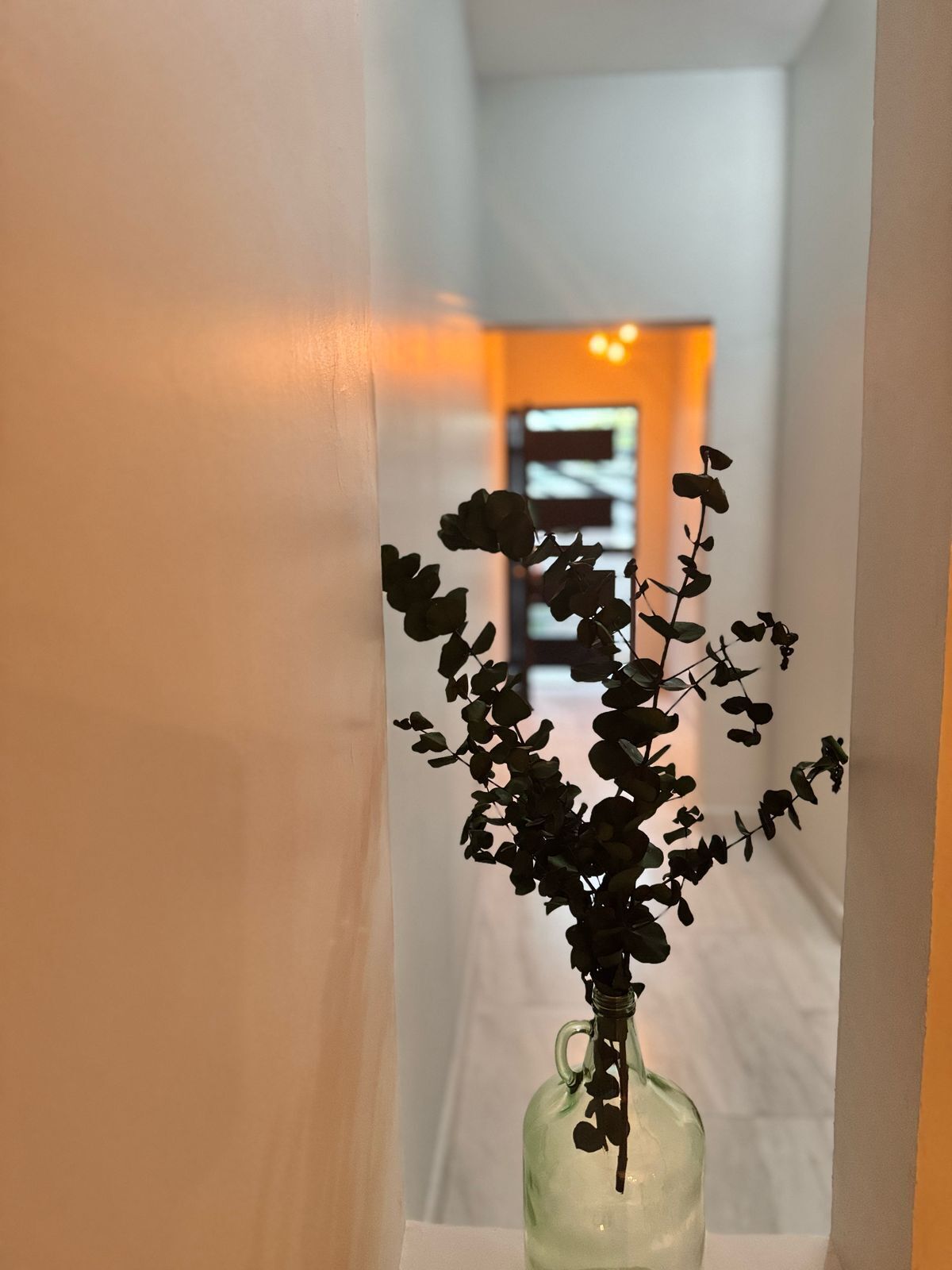 1 de 7