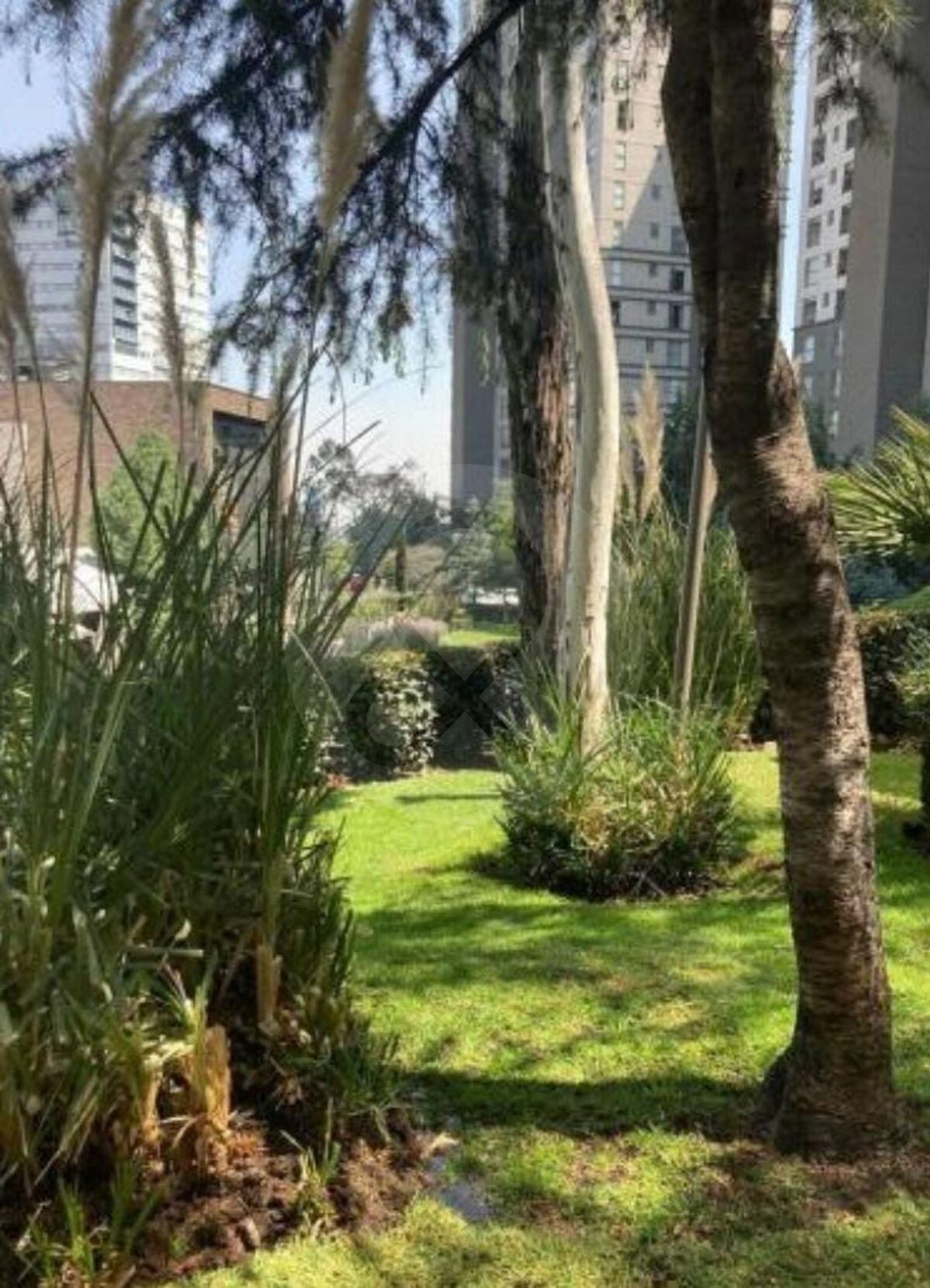 20 de 24