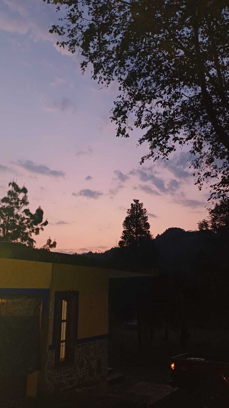 4 of 4