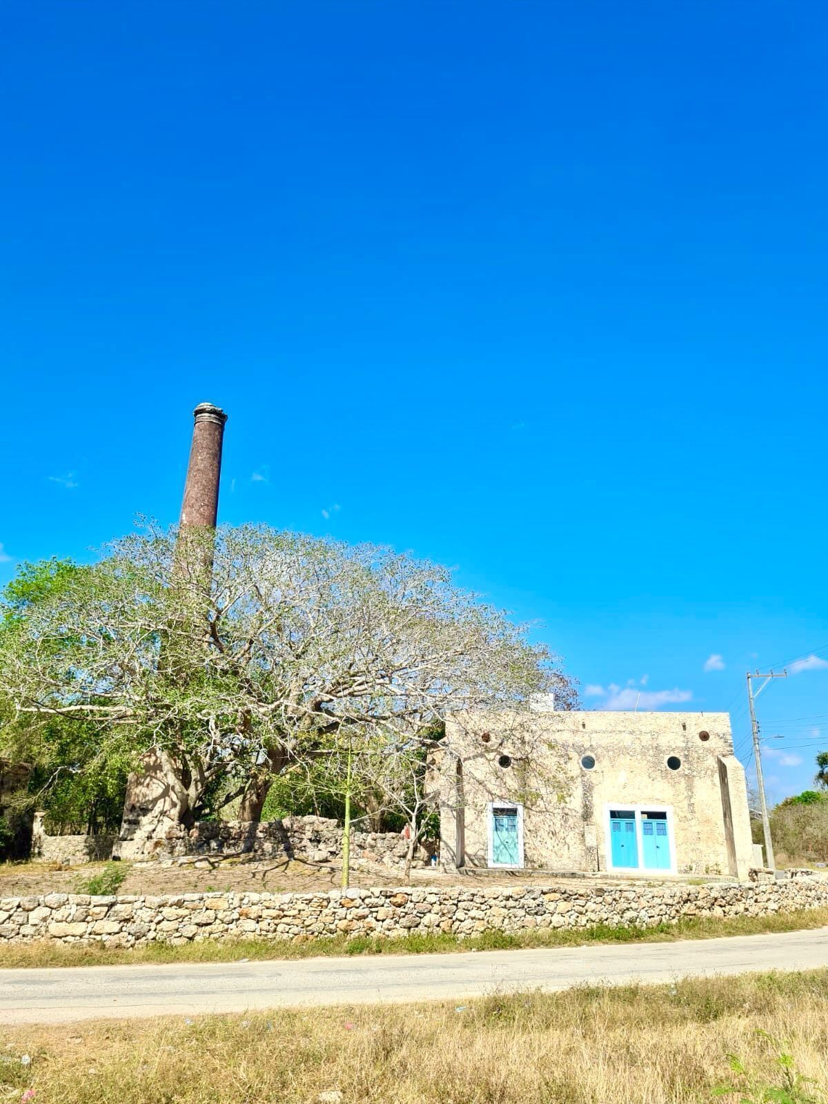 5 de 6