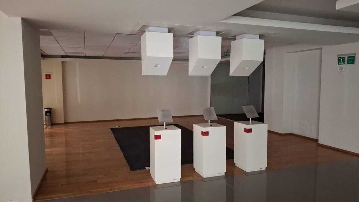 5 de 5