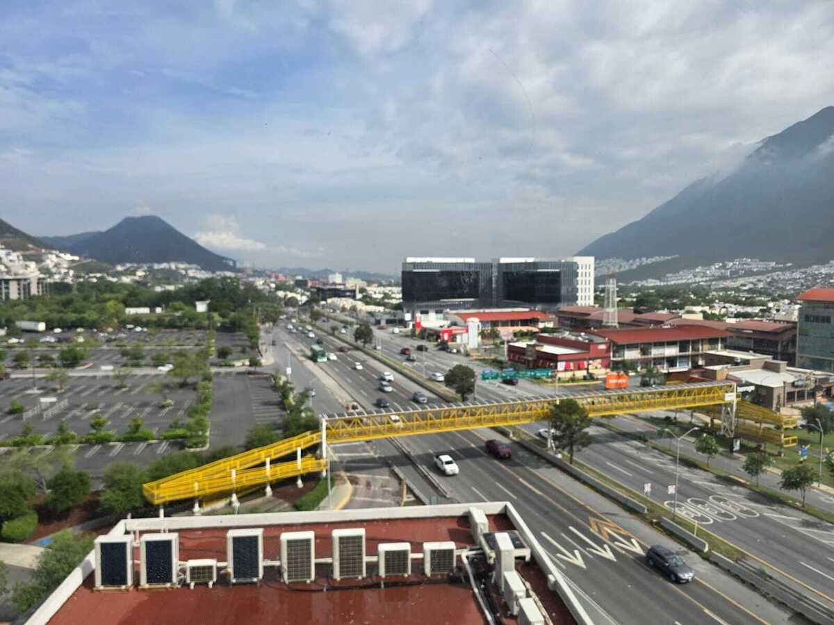 3 de 6