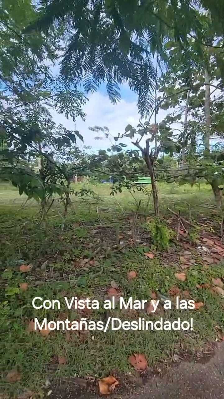 5 de 11