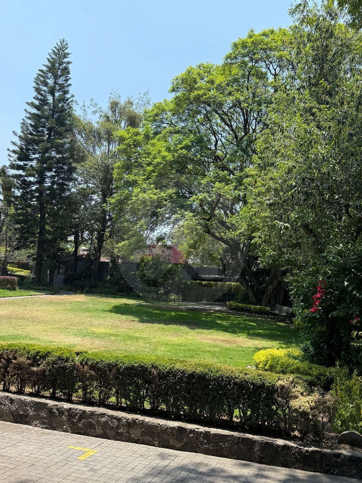 15 de 25