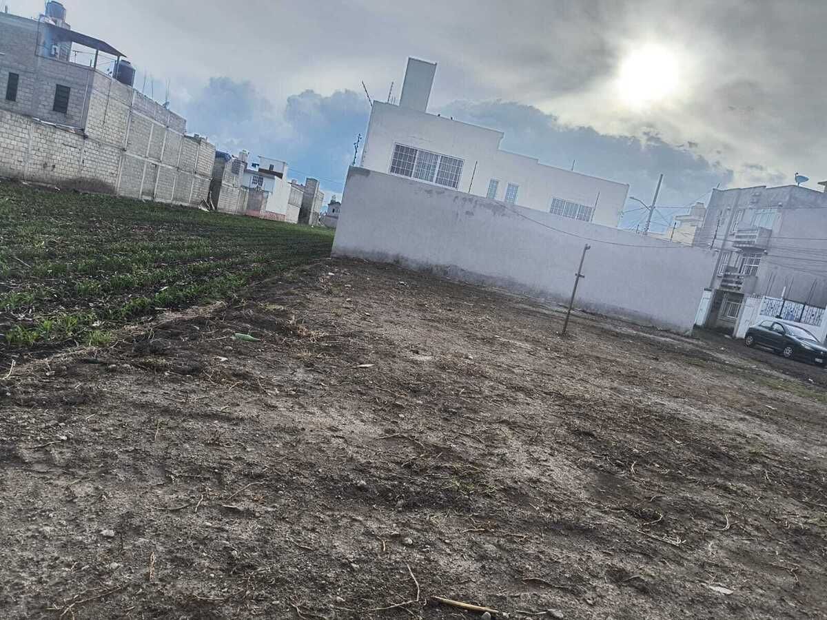 4 de 17