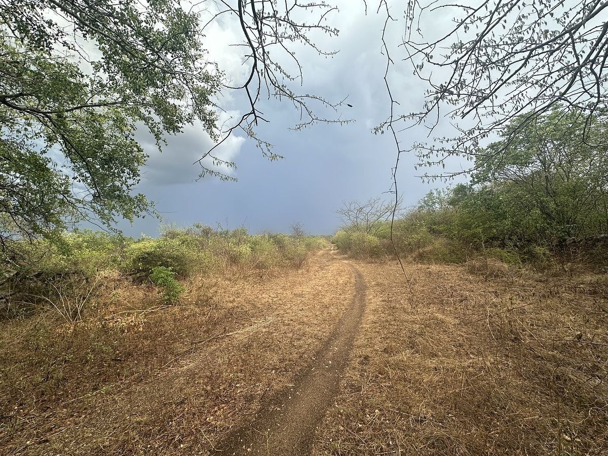 Terreno en Dzemul, Dzemul, foto 2 de 9