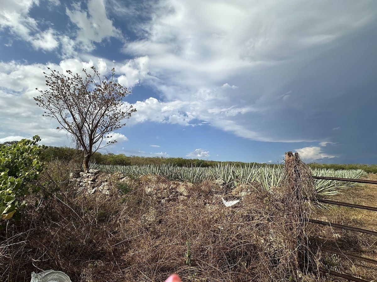 Terreno en Dzemul, Dzemul, foto 3 de 9