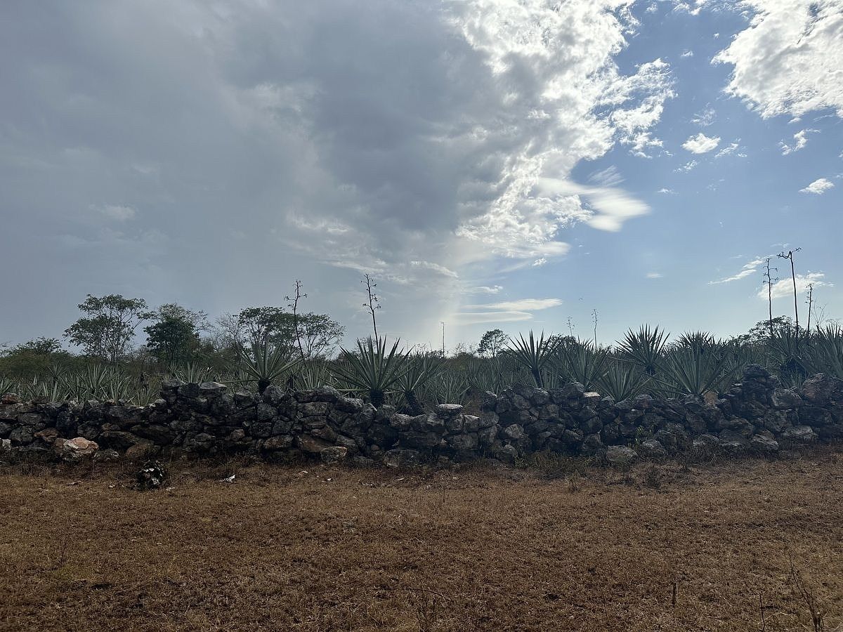 Terreno en Dzemul, Dzemul, foto 8 de 9