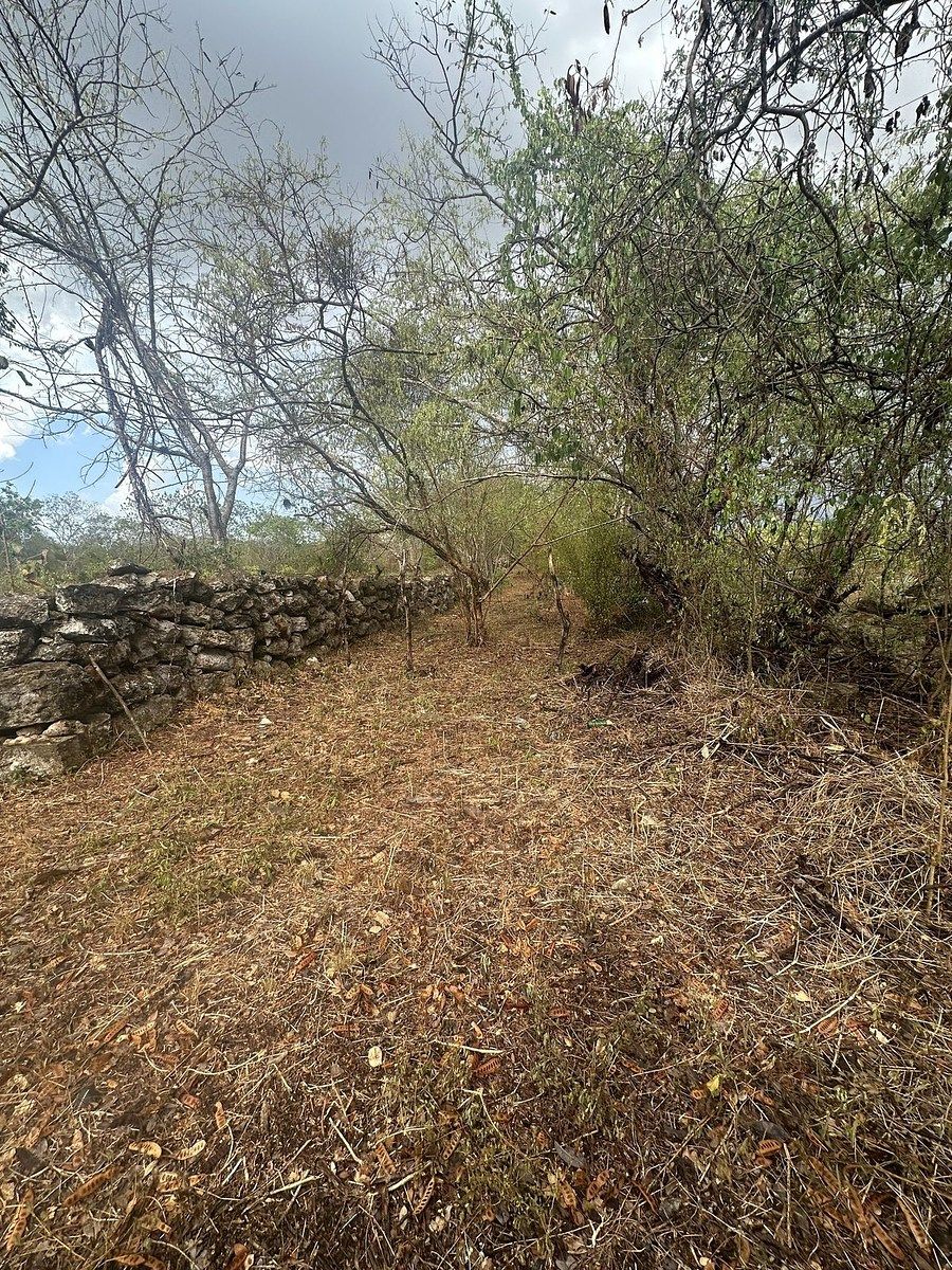 Terreno en Dzemul, Dzemul, foto 9 de 9
