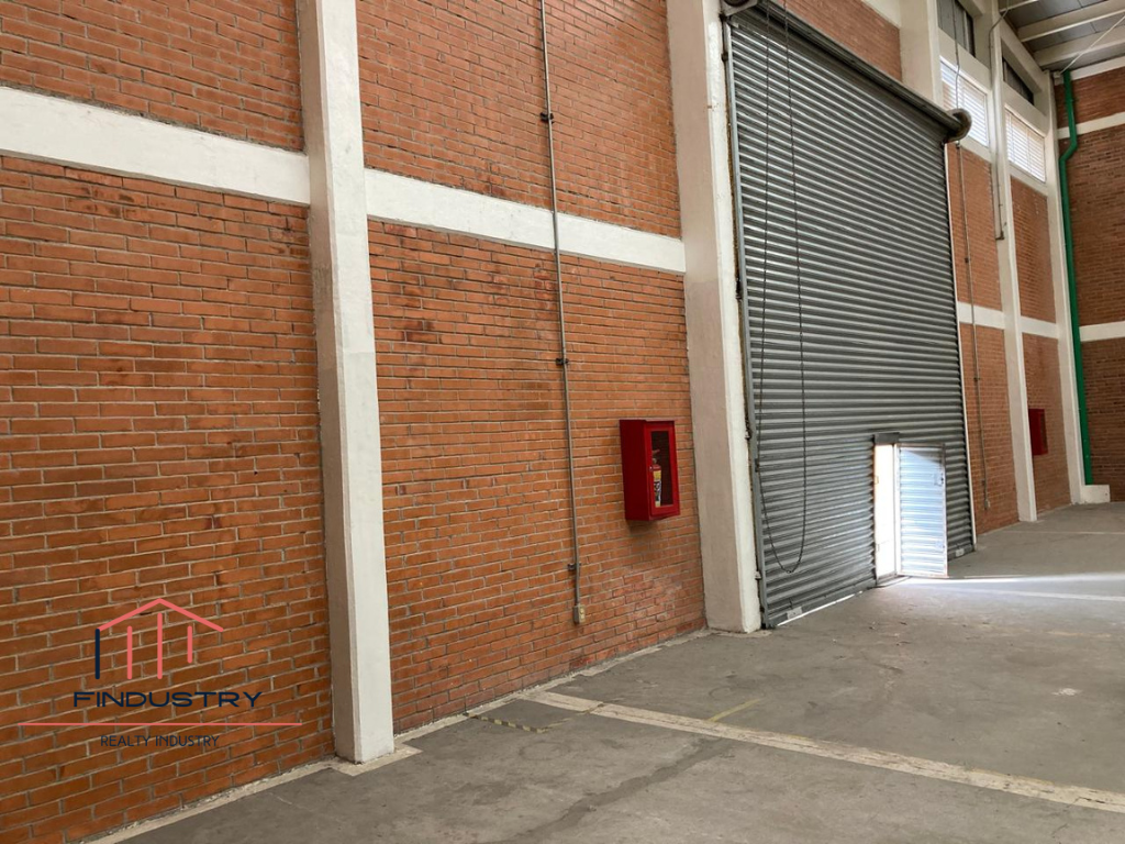 5 de 8