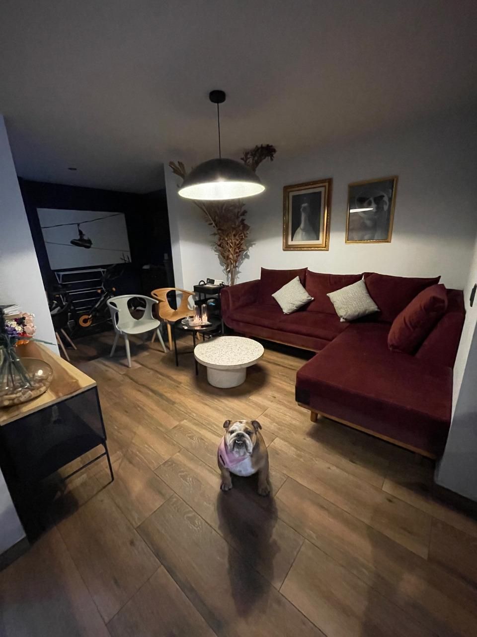 1 de 13: sala