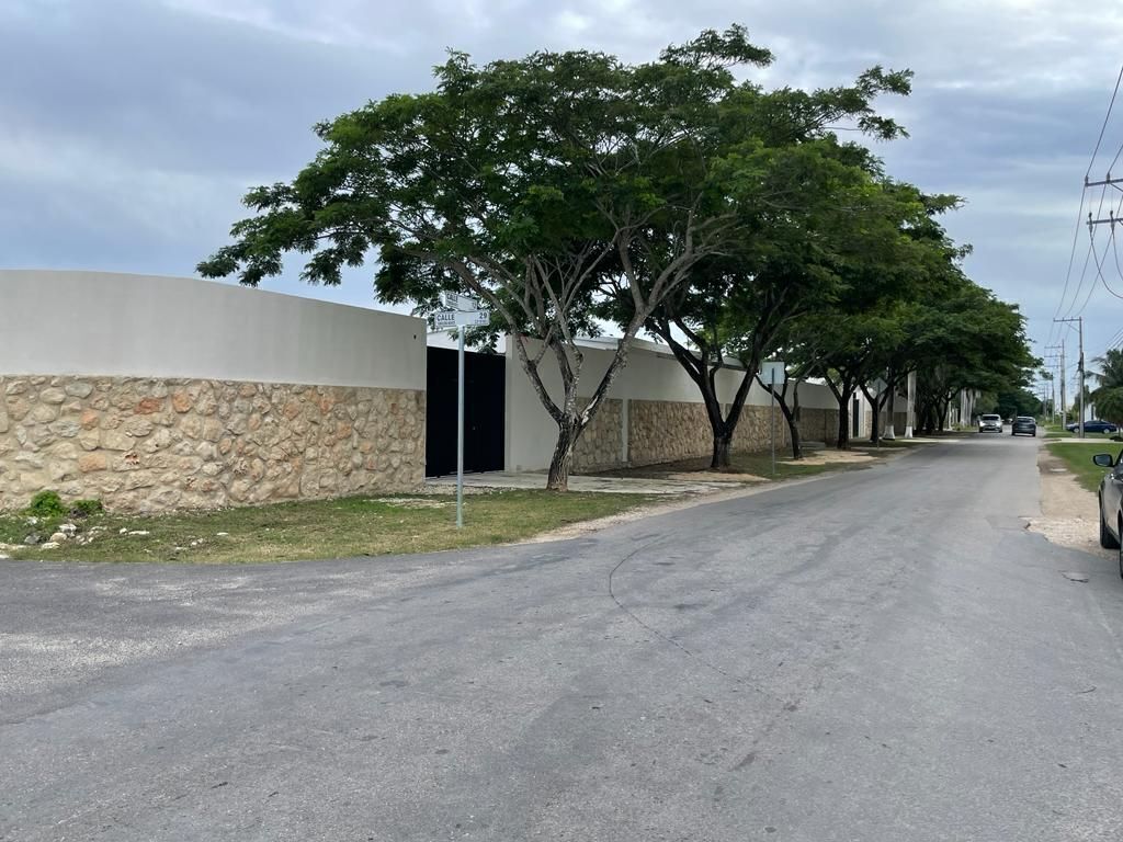 5 de 5