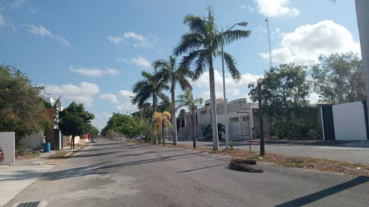 3 de 3