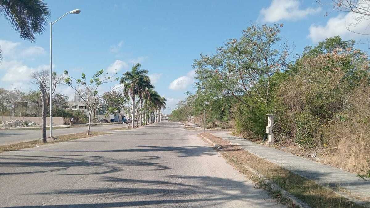 1 de 3
