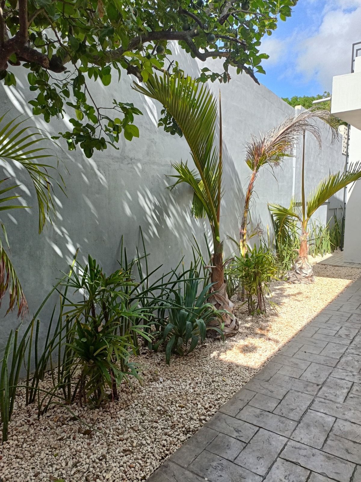 Casa en Lourdes, Mérida, foto 4 de 22
