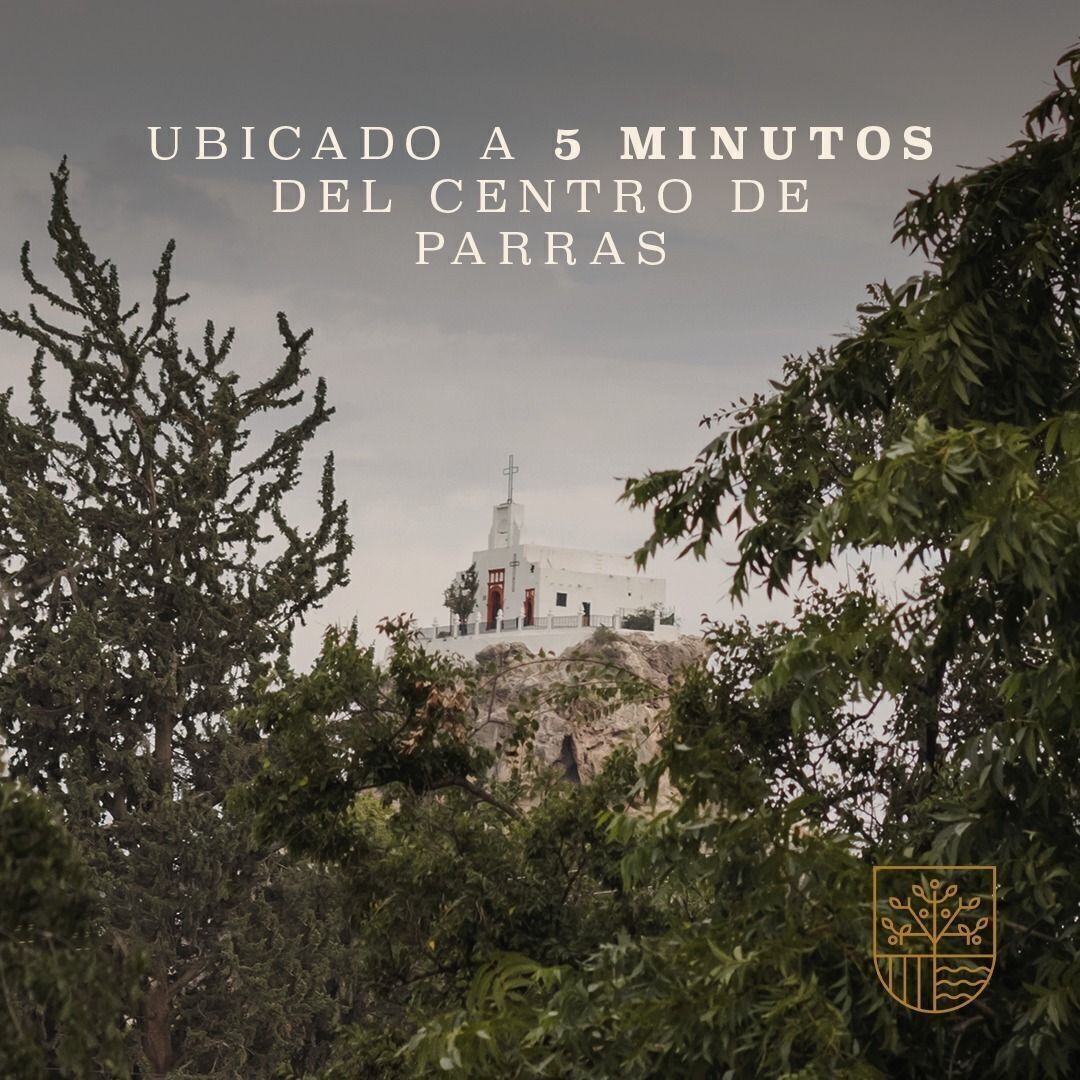 5 de 19