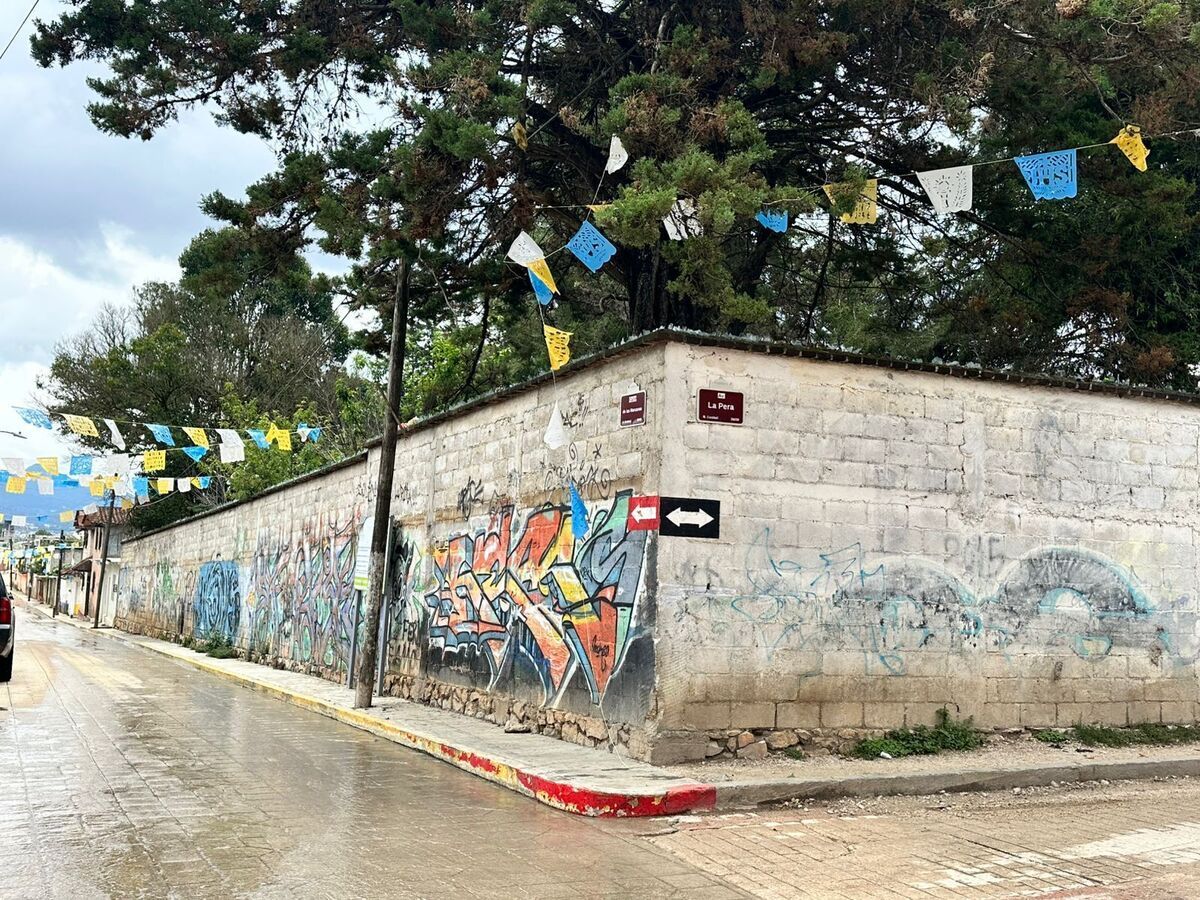 4 de 12