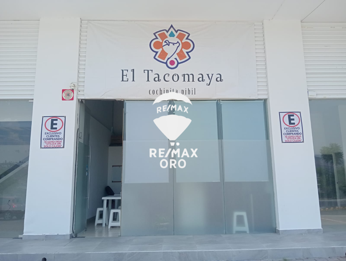 10 de 12