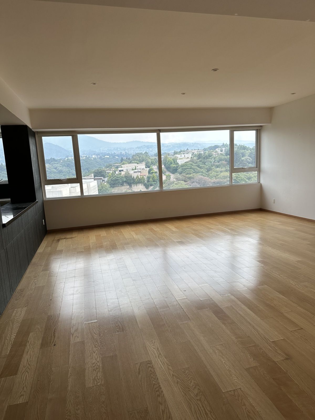 2 of 30: Área de Sala y Comedor