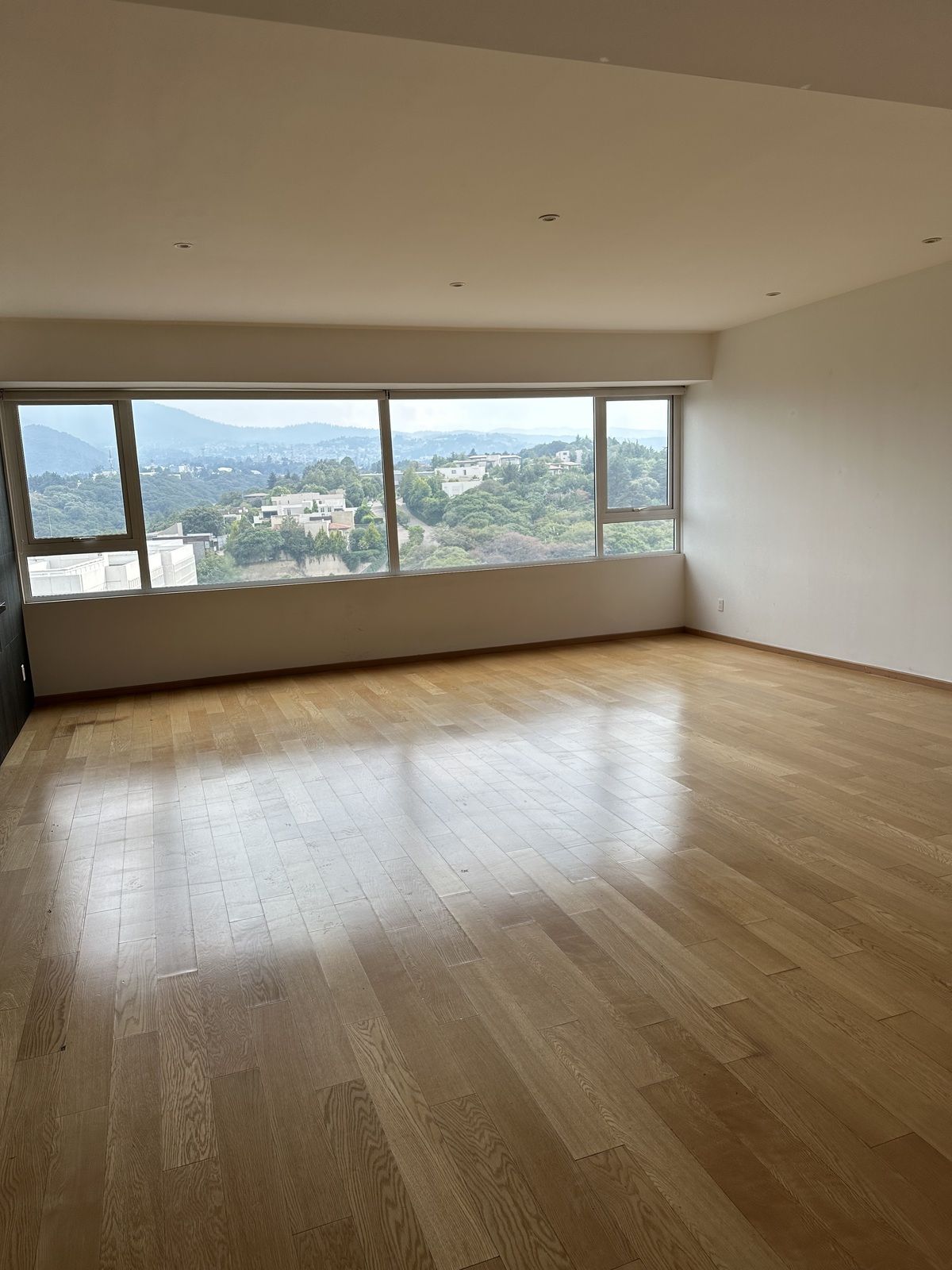 3 of 30: Sala y Comedor