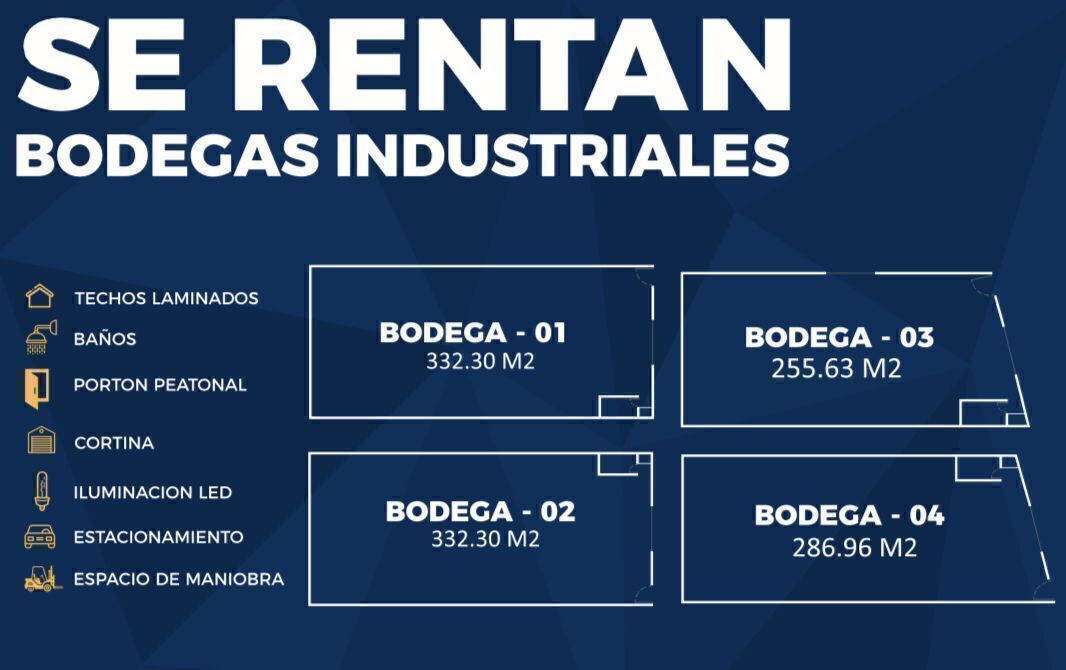 4 de 6