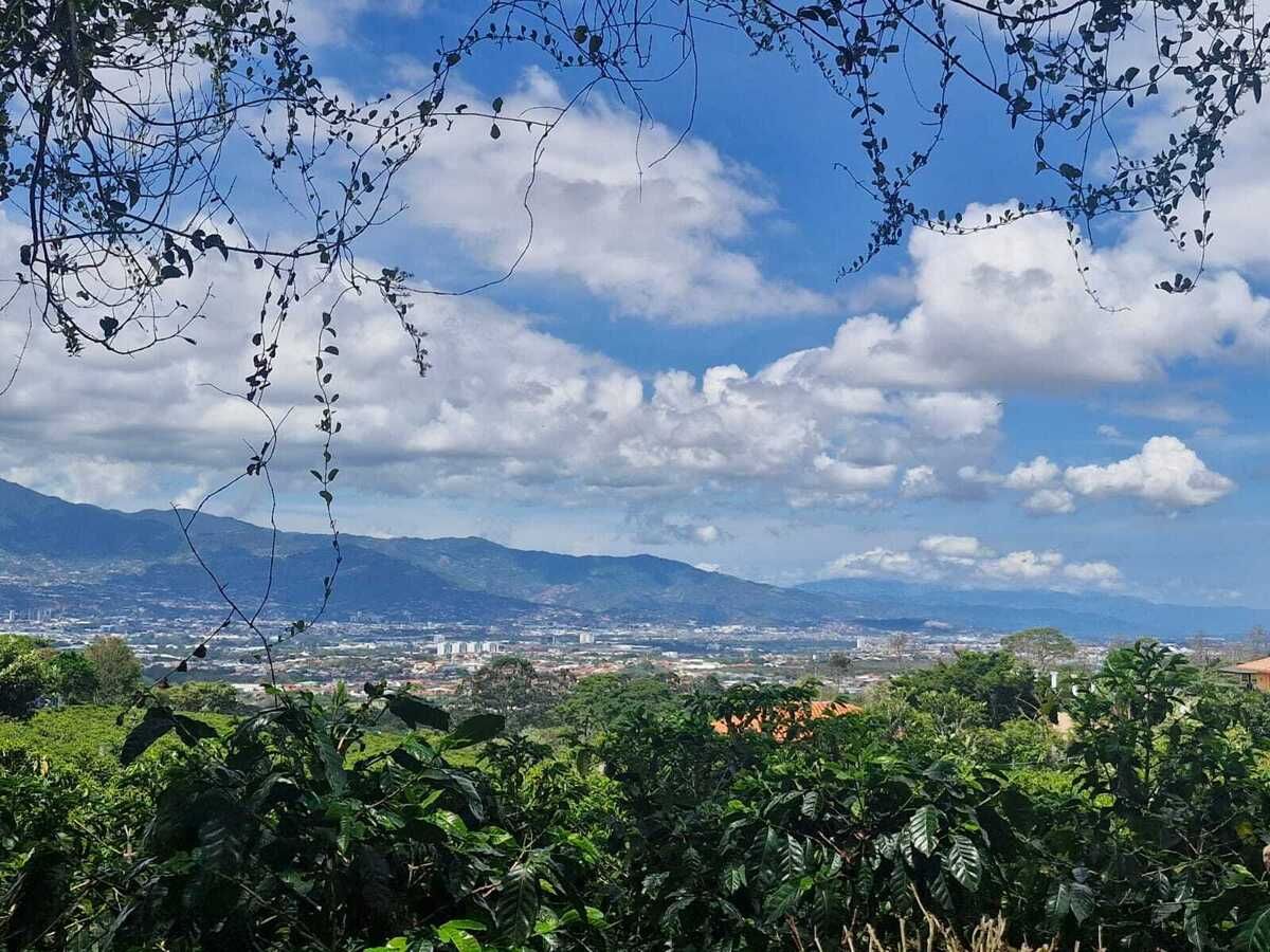 4 de 29