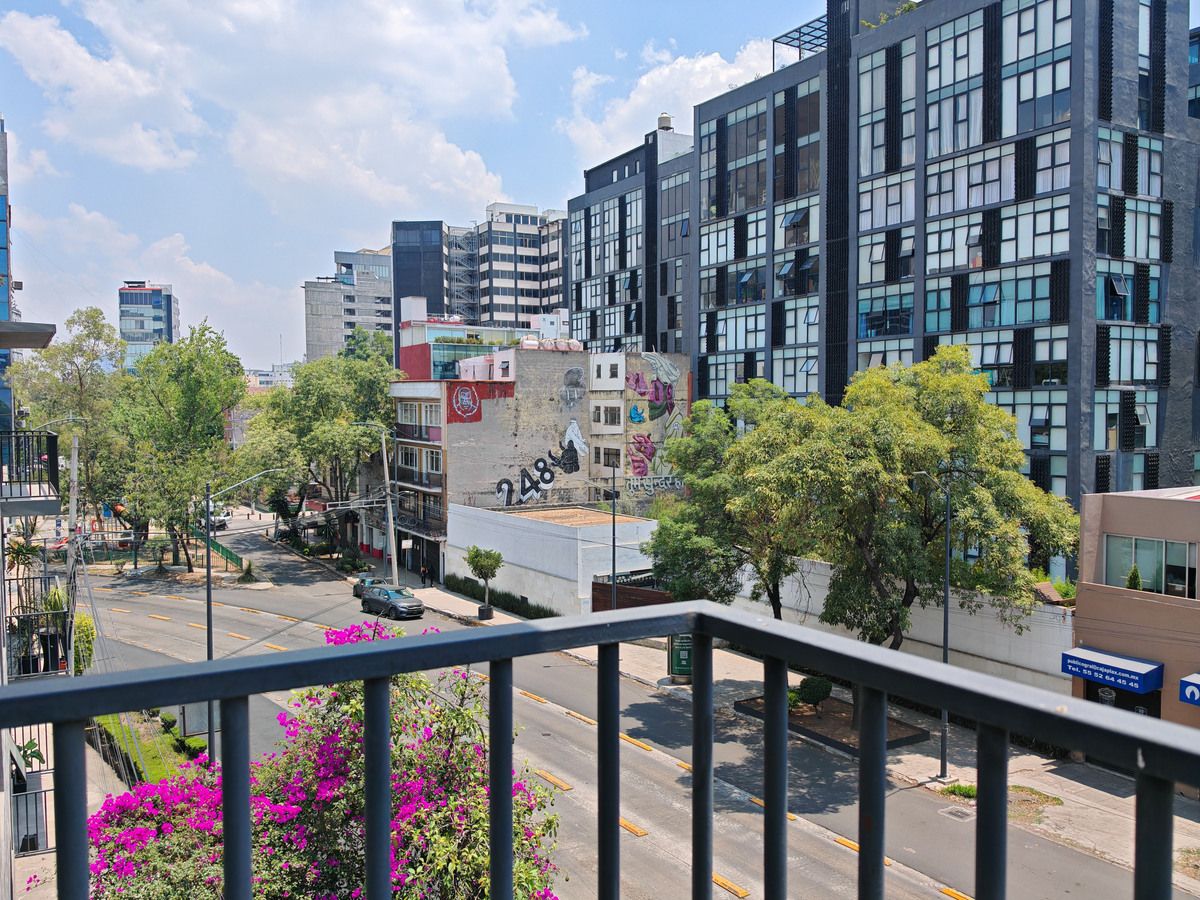 5 de 24