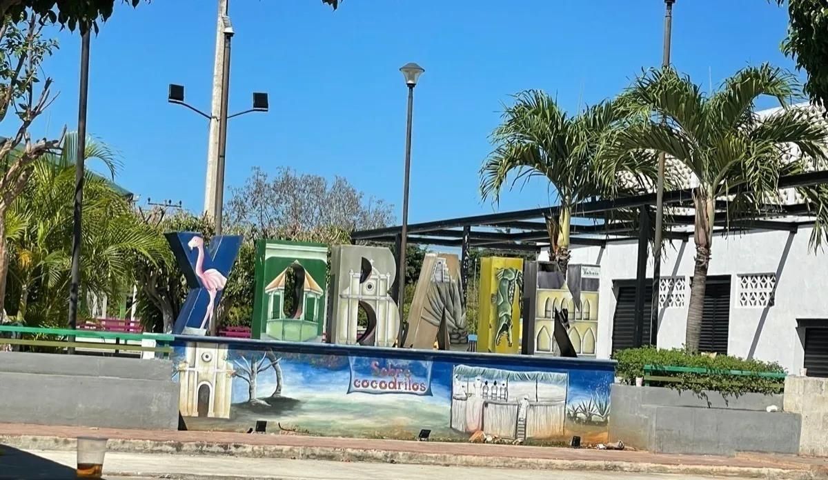 Imagen 9 de 9