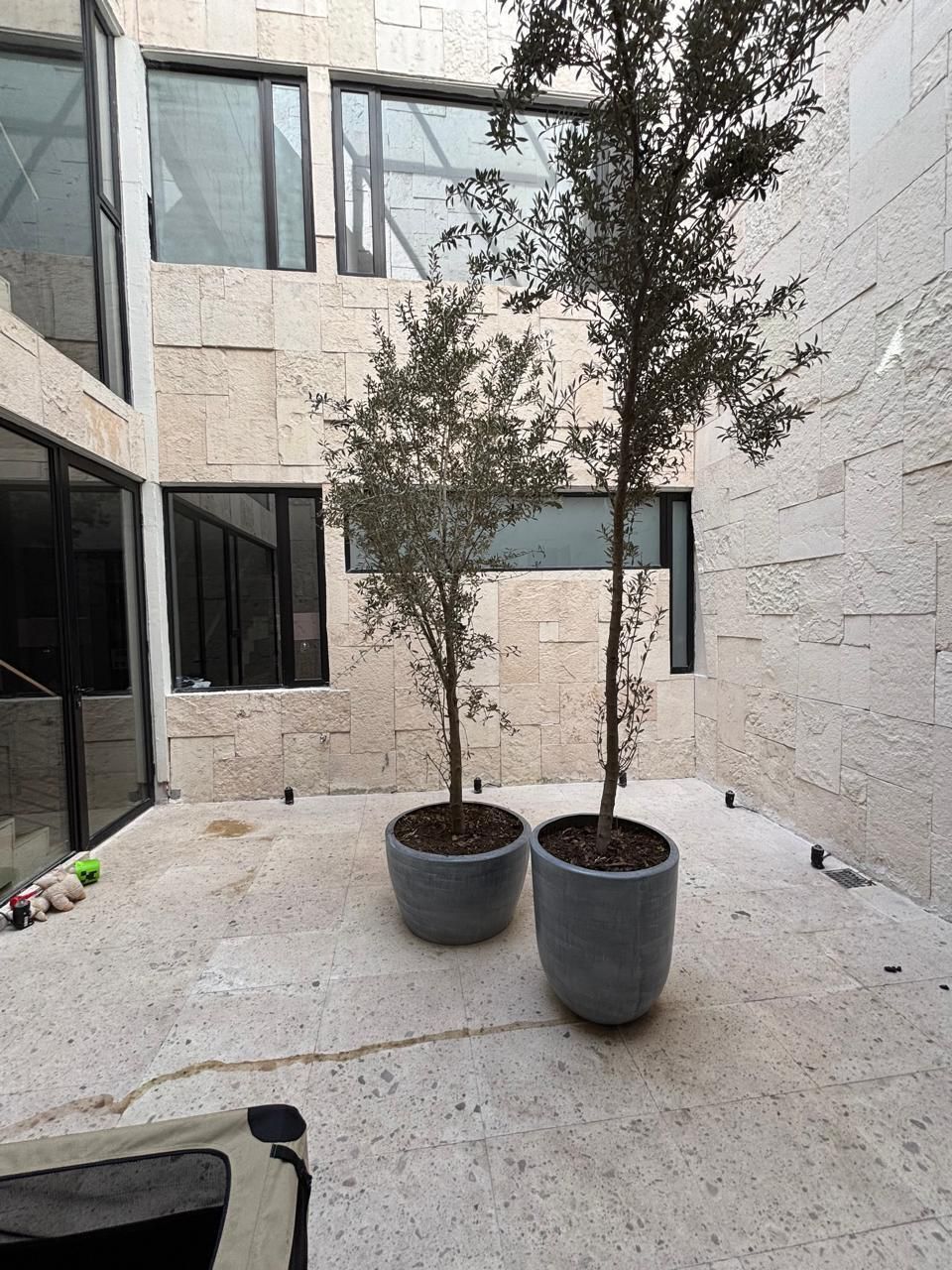 26 de 31