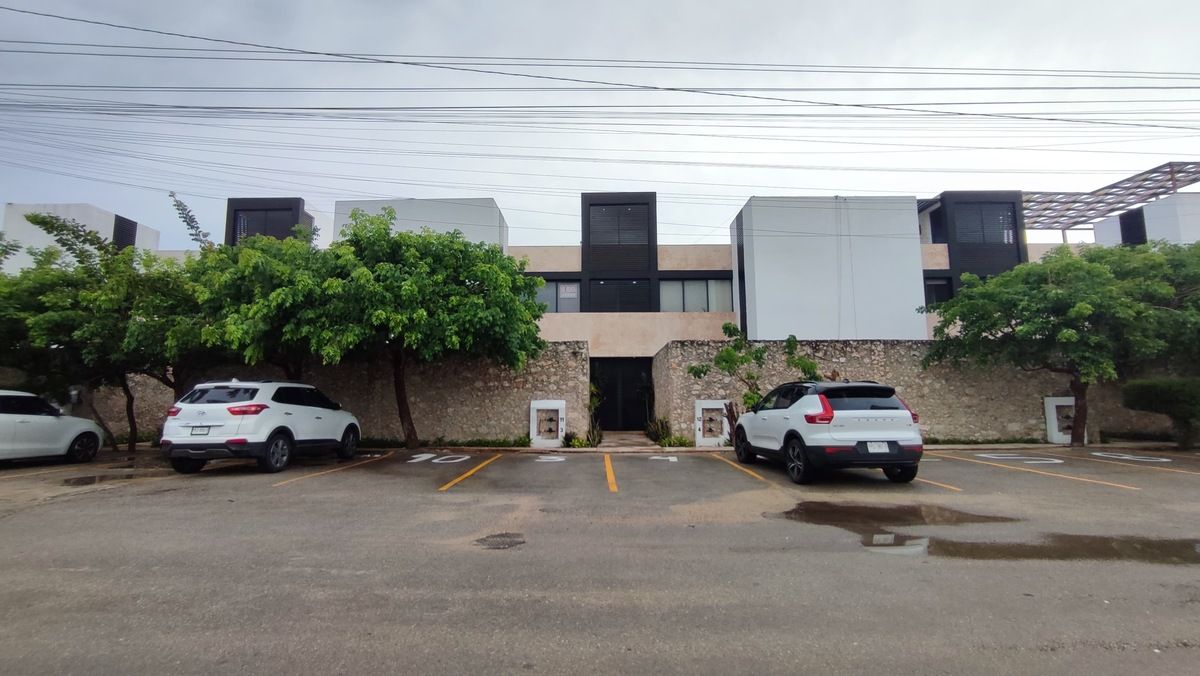 3 de 16