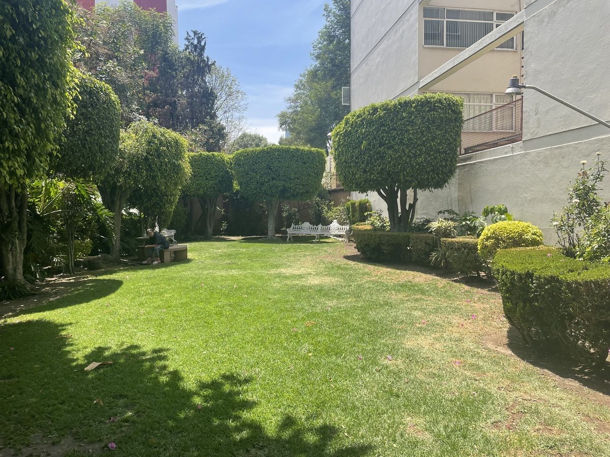 3 de 6