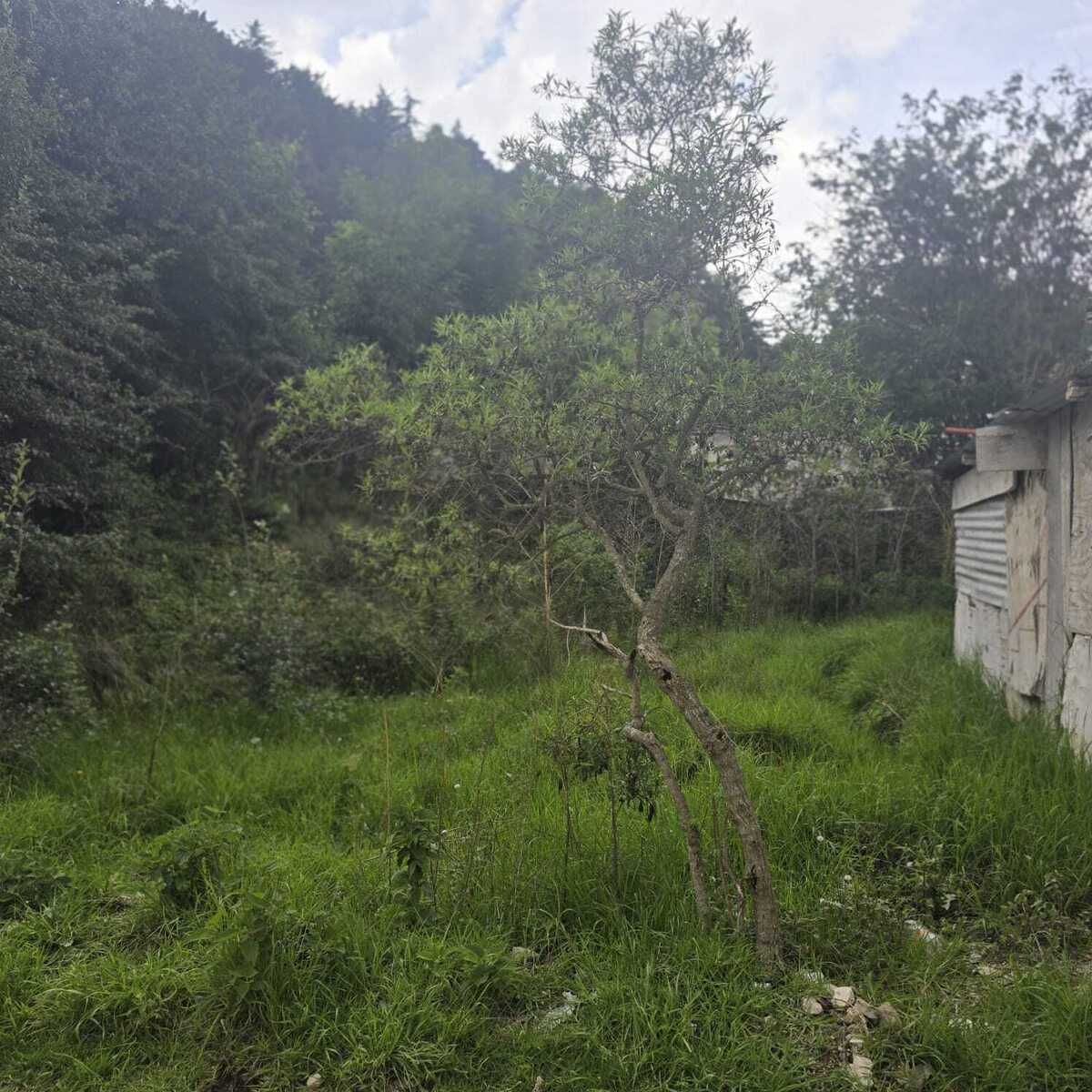 3 de 5