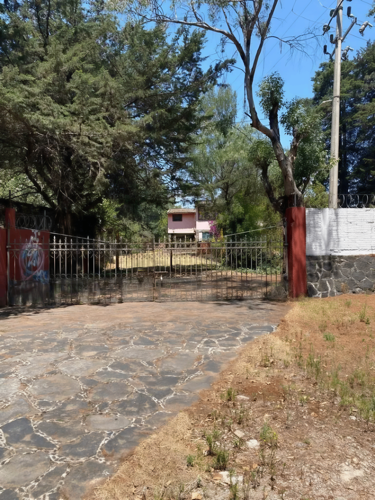 1 de 12