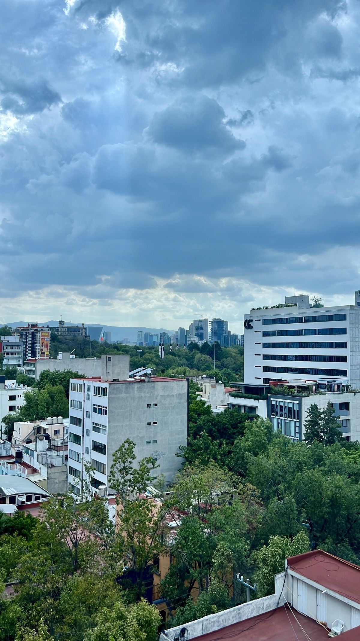 3 de 13