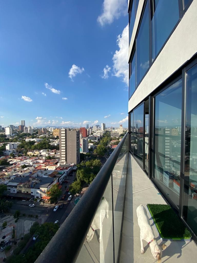 20 de 23
