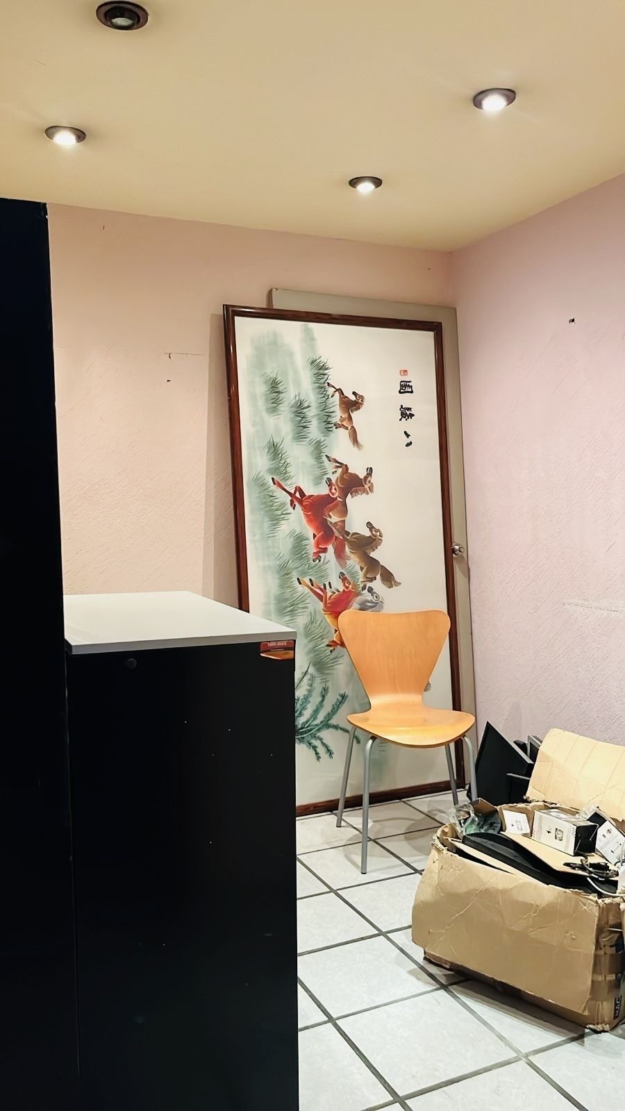 5 de 17