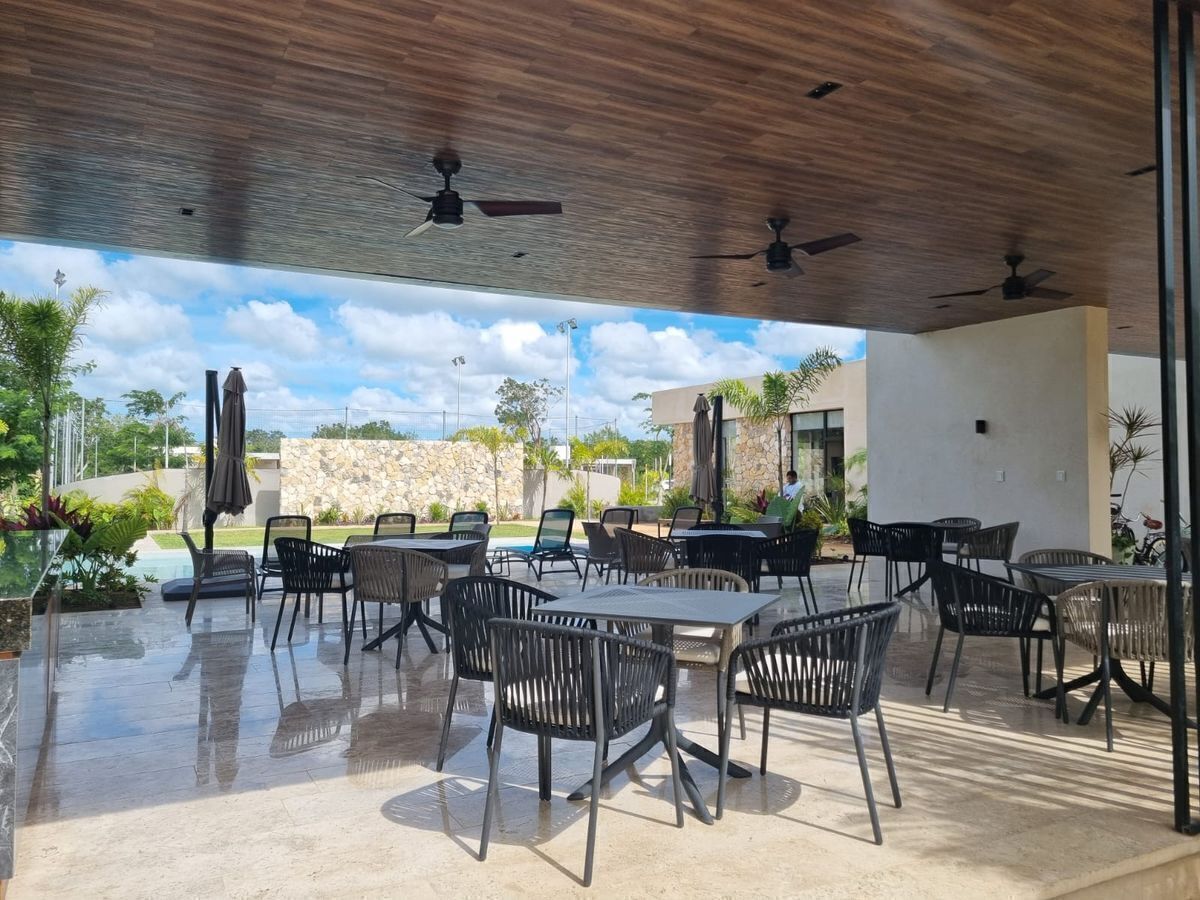 14 de 19: Terraza Bar