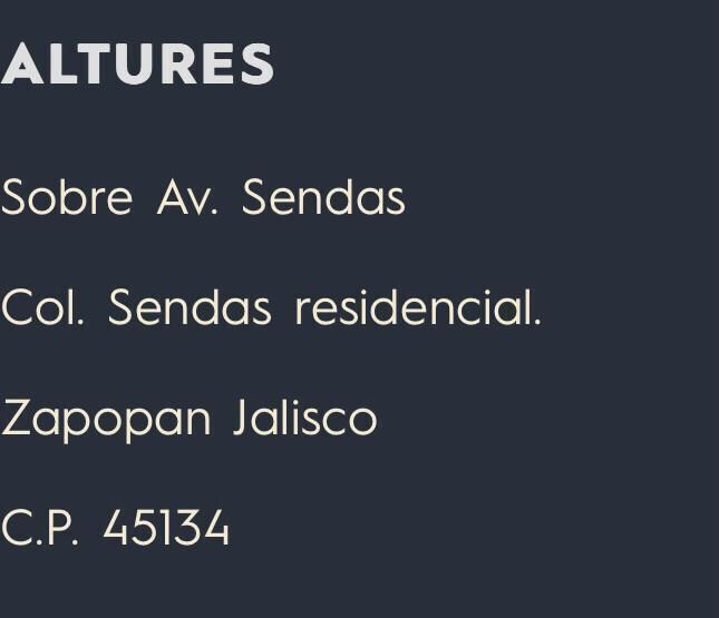 11 de 11