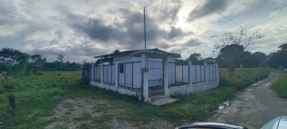 2 de 11