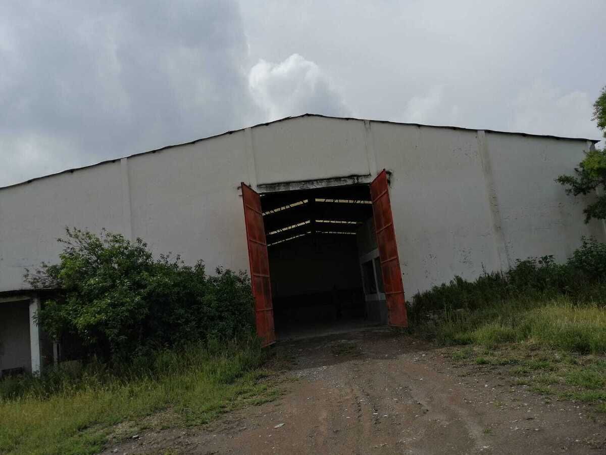 3 de 20