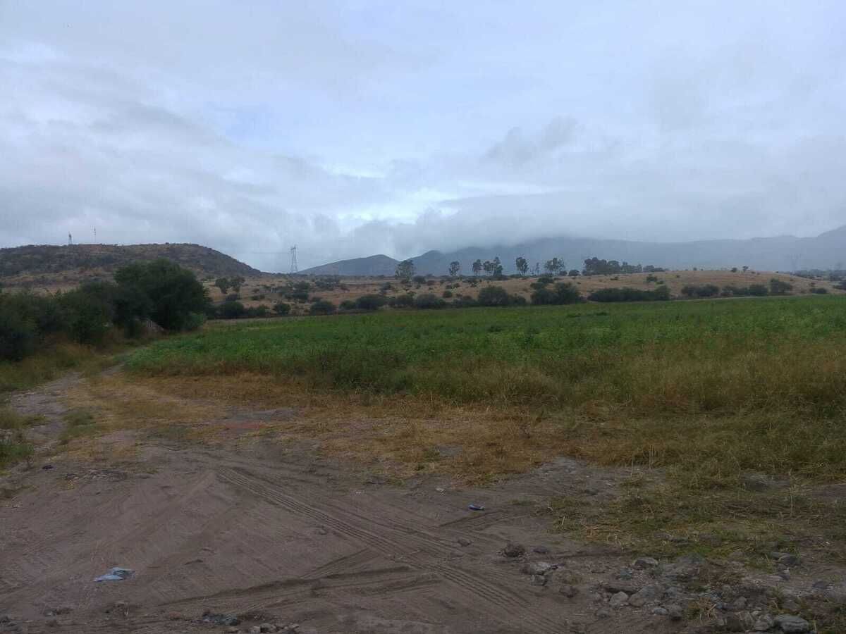 9 de 20