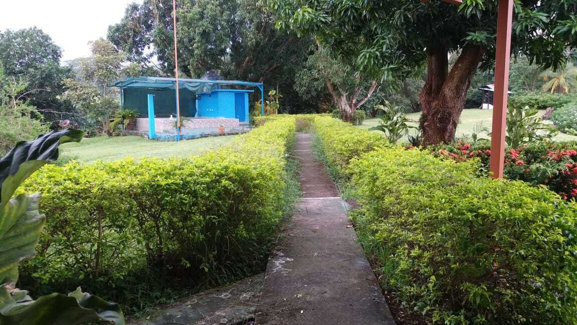 3 de 8