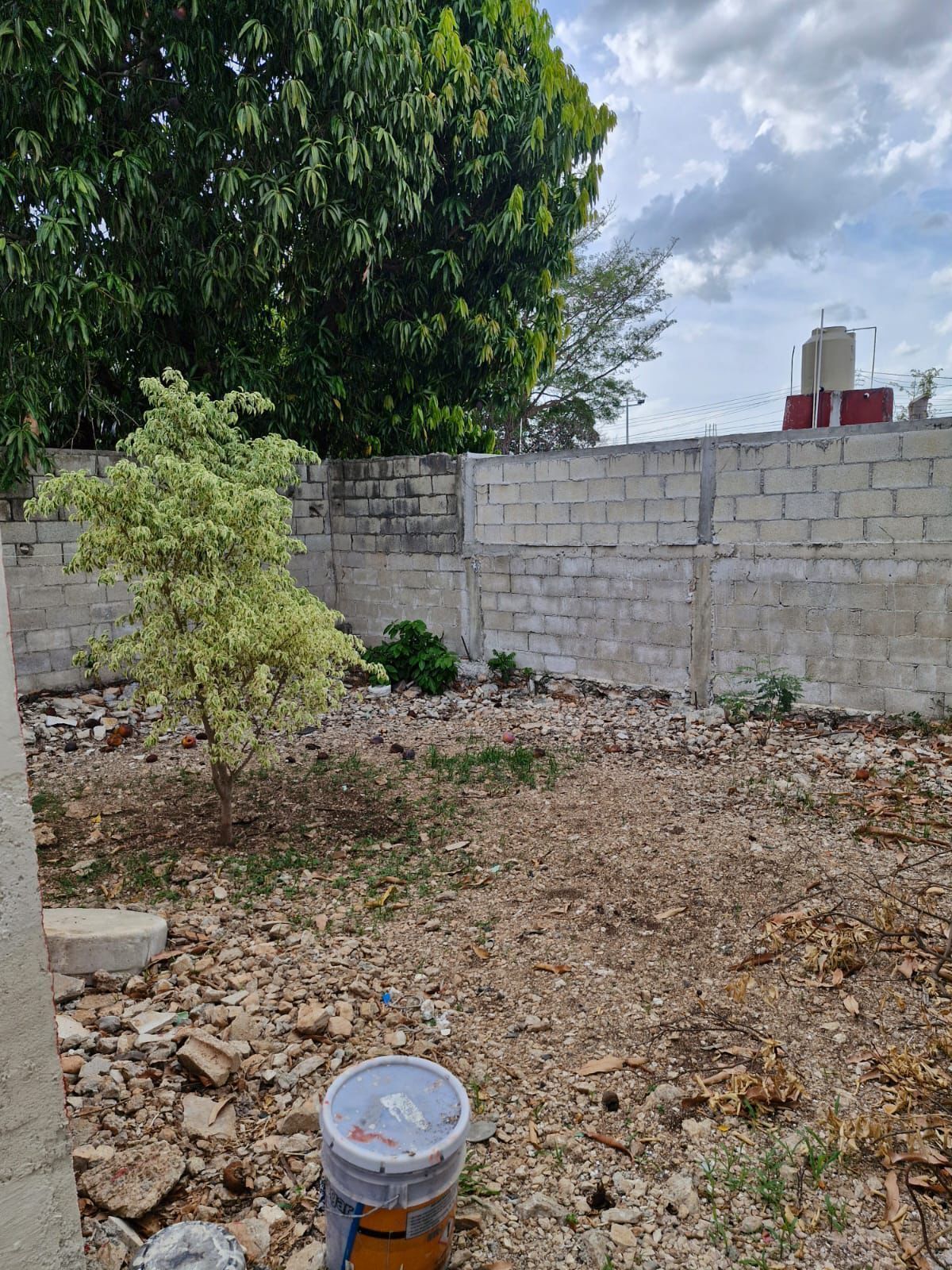 20 de 21