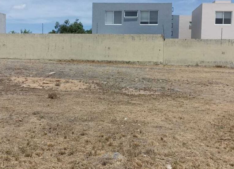 3 de 6